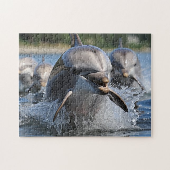 Dolphins Game Puzzle  (Horizontal)