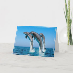 Dolphins Greeting Card