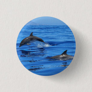 Dolphins In Blue Water 1 Inch Round Button