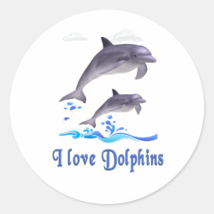 Dolphins items classic round sticker