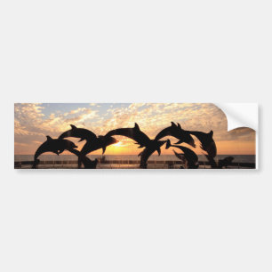 Dolphin's jumping from the water at sunset bumper sticker