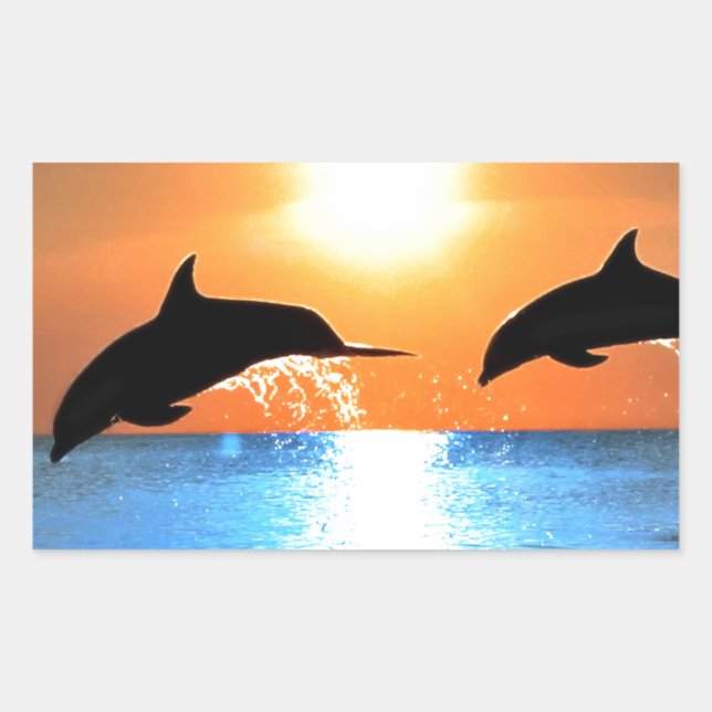 Dolphins Leaping Sticker (Front)