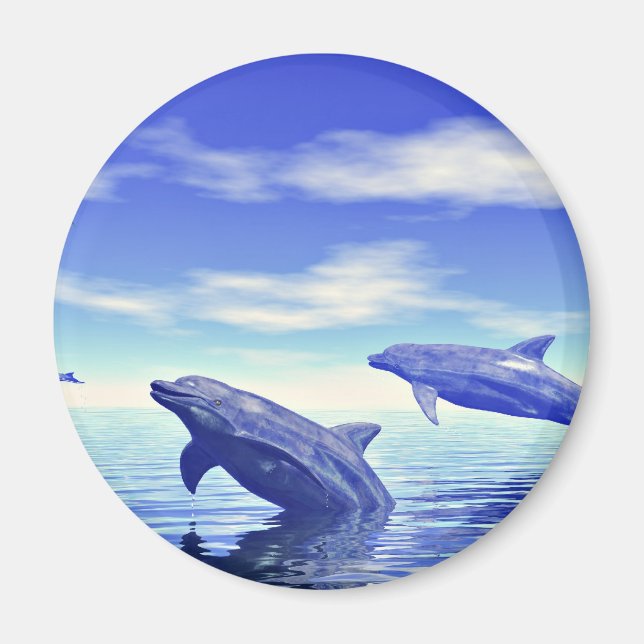 Dolphins Magnet (Front)