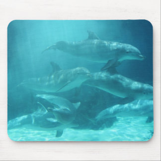 Dolphins Mouse Pad