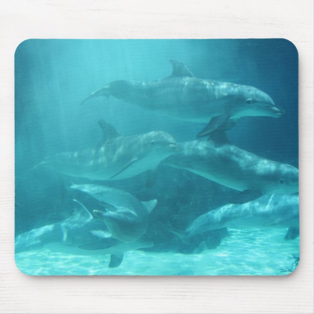Dolphins Mouse Pad (Front)