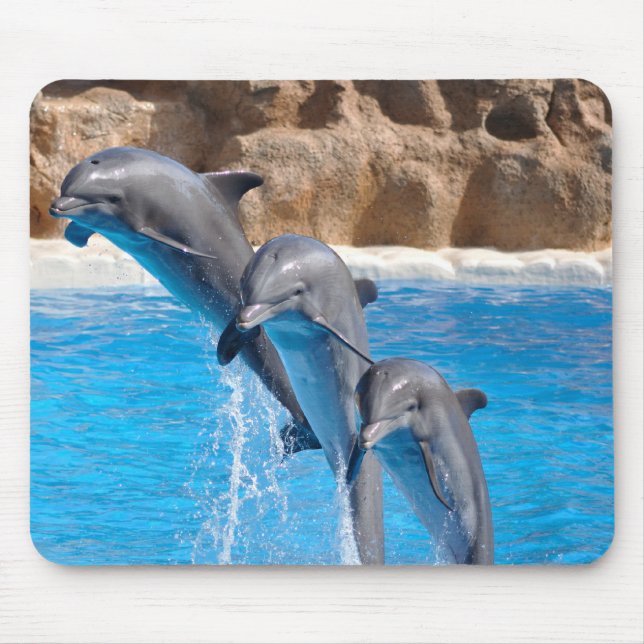 Dolphins mousepad (Front)