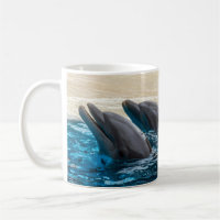 Dolphins mug