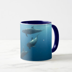 Dolphins  mug