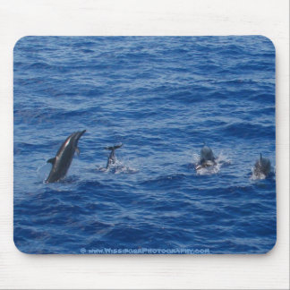 Dolphins ~ Northwest coast of Lanai Mouse Pad