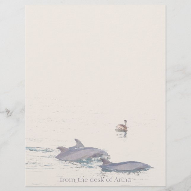 Dolphins Pelican Personalized Letterhead (Front)