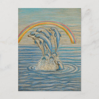 Dolphins Postcard