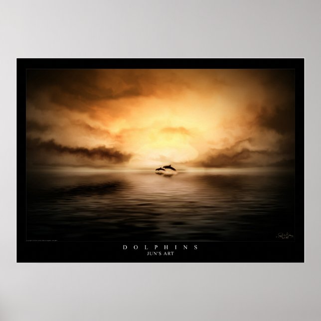 Dolphins Poster (Front)