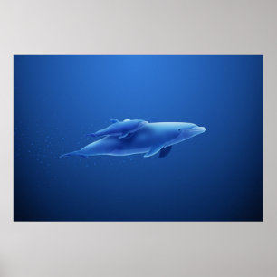 Dolphins Poster
