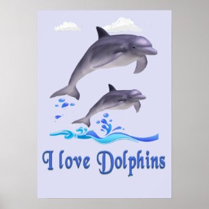Dolphins Poster