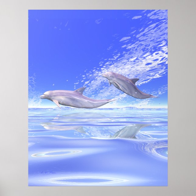 Dolphins Racing Poster (Front)