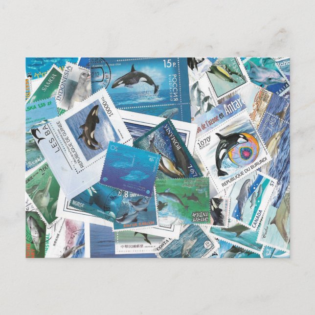 dolphins stamps postcard (Front)