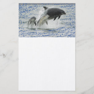 Dolphins Stationery