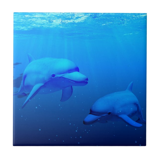 Dolphins Tile (Front)