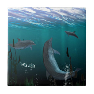 dolphins tile