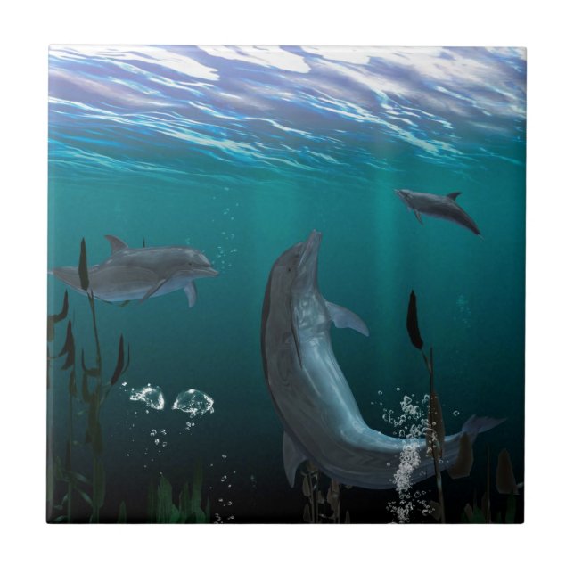 dolphins tile (Front)