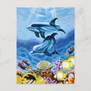 Dolphins Tropical Fish Postcard