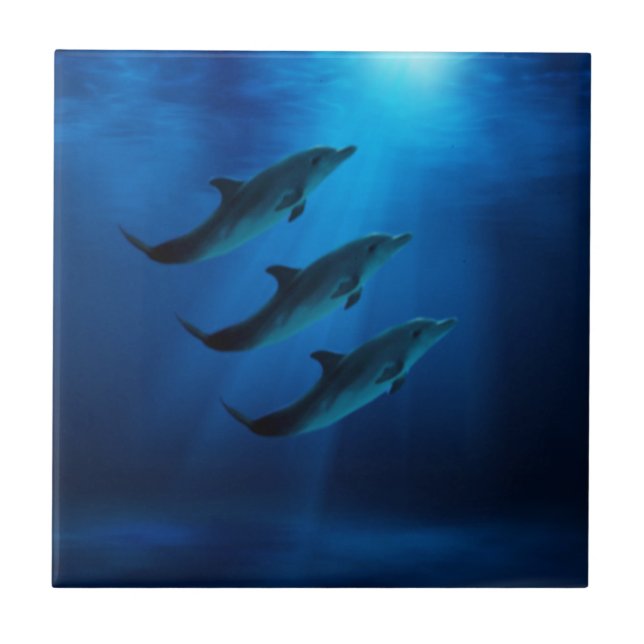 Dolphins Under Water Tiles (Front)