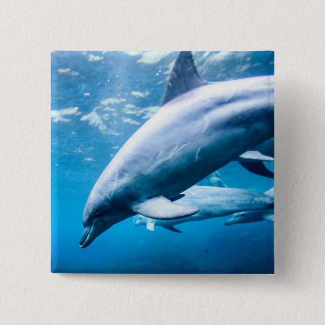Dolphins Underwater 2 Inch Square Button (Front)