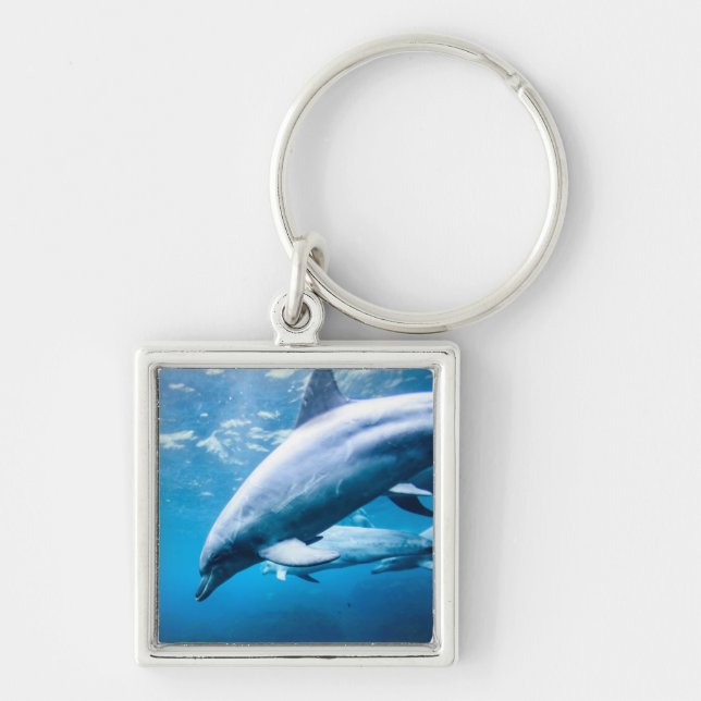 Dolphins Underwater Keychain (Front)