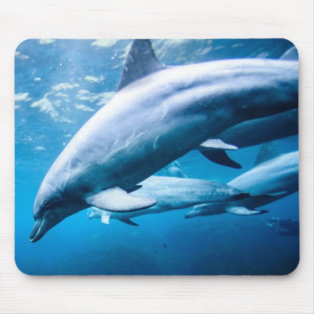 Dolphins Underwater Mouse Pad (Front)