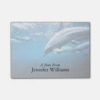 Dolphins Underwater