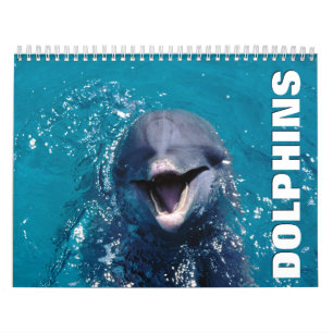 Dolphins Wall Calendar