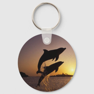Dolphins water fish jump splash tropical island keychain