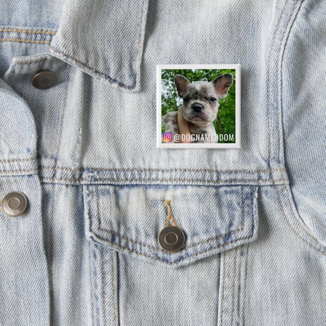 DOM THE DOG INSTAGRAM PIN (In Situ)