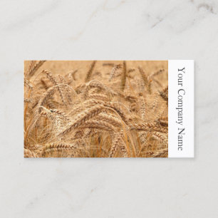Domaine du blé Photographie - Carte de visite