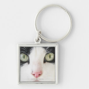 Domestic cat portrait keychain