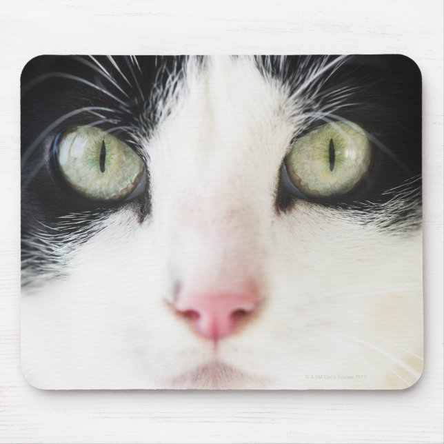 Domestic cat portrait mouse pad (Front)