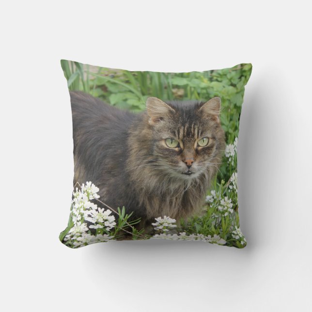 Domestic Long-Haired Cat Throw Pillow (Front)