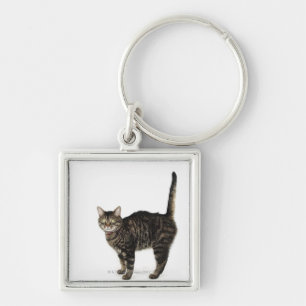 Domestic male tabby cat standing keychain