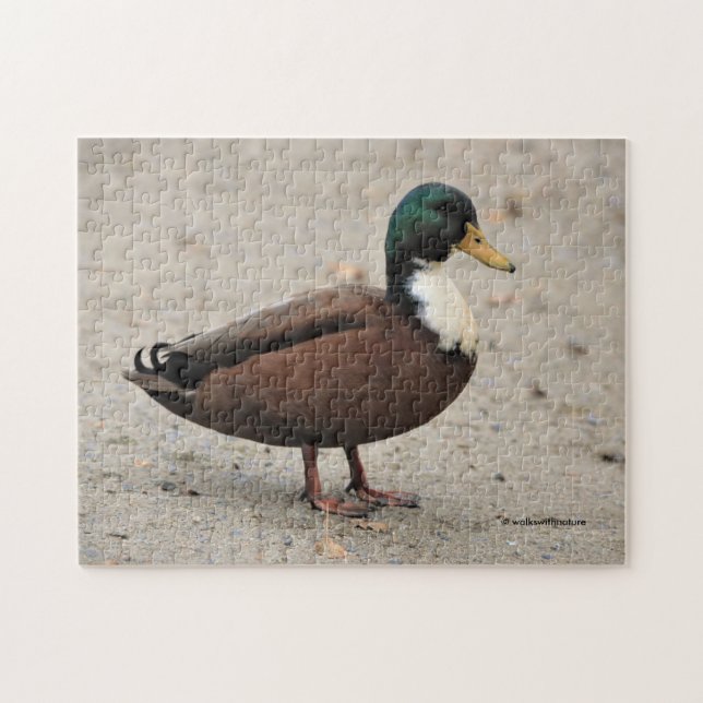 Domestic Mallard Duclair Bibbed Odd Duck Jigsaw Puzzle (Horizontal)