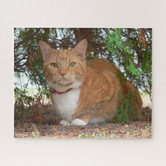 Domestic Orange Ginger Tabby Cat Jigsaw Puzzle (Horizontal)
