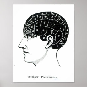 Domestic Propensities Poster