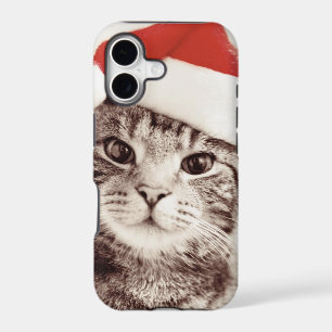 Domestic tabby cat wearing red Christmas hat