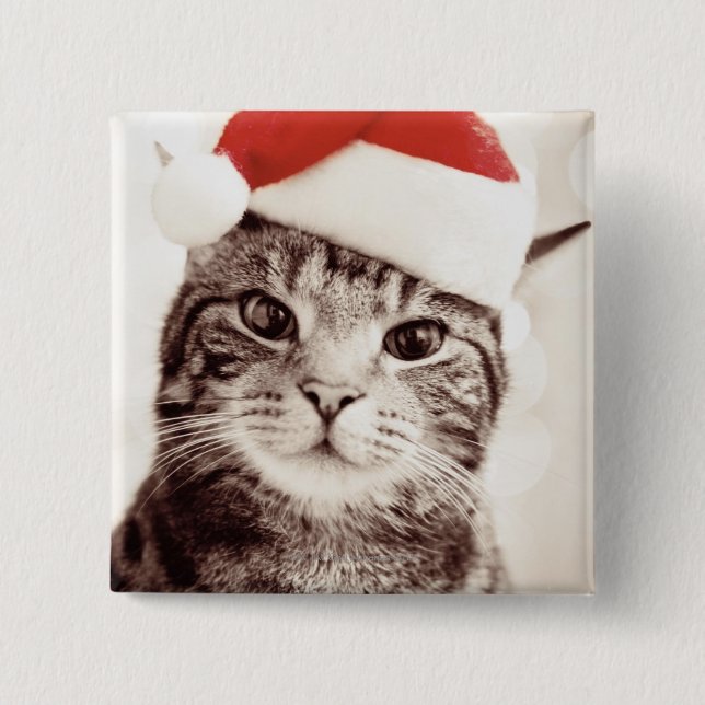 Domestic tabby cat wearing red Christmas hat 2 Inch Square Button (Front)