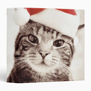 Domestic tabby cat wearing red Christmas hat Binder