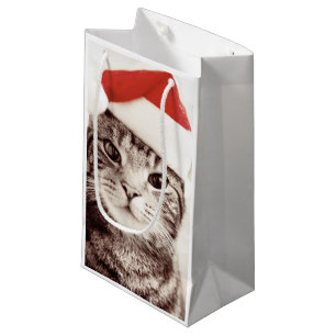 Domestic tabby cat wearing red Christmas hat Small Gift Bag