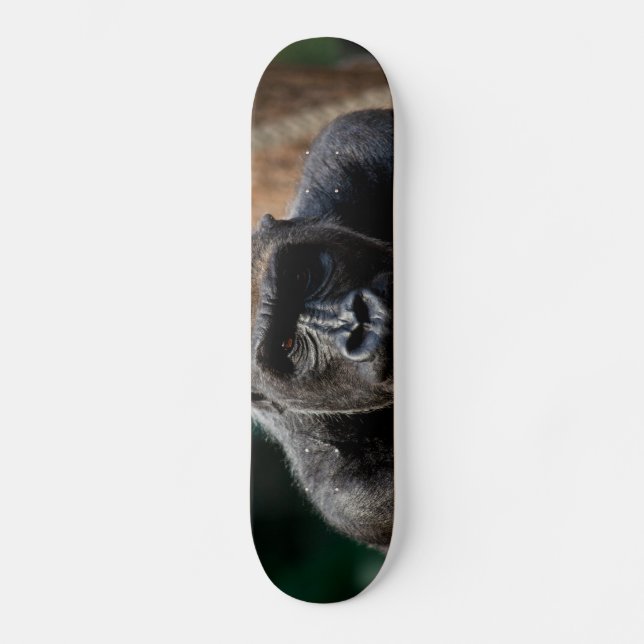 Dominant Primate Gorilla Ape Skateboard (Front)