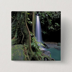 Dominica, Emerald Pool, Waterfall. 2 Inch Square Button