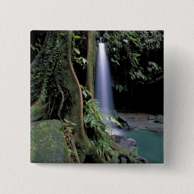 Dominica, Emerald Pool, Waterfall. 2 Inch Square Button (Front)