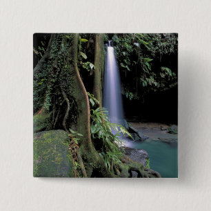 Dominica, Emerald Pool, Waterfall. 2 Inch Square Button