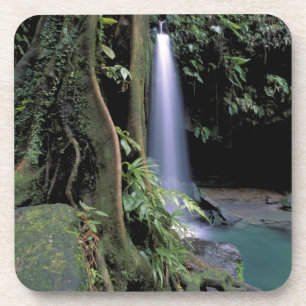 Dominica, Emerald Pool, Waterfall. Coaster